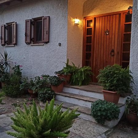 Nafpaktos Cottage By The Sea For Travelers And Dreamers! Екстериор снимка