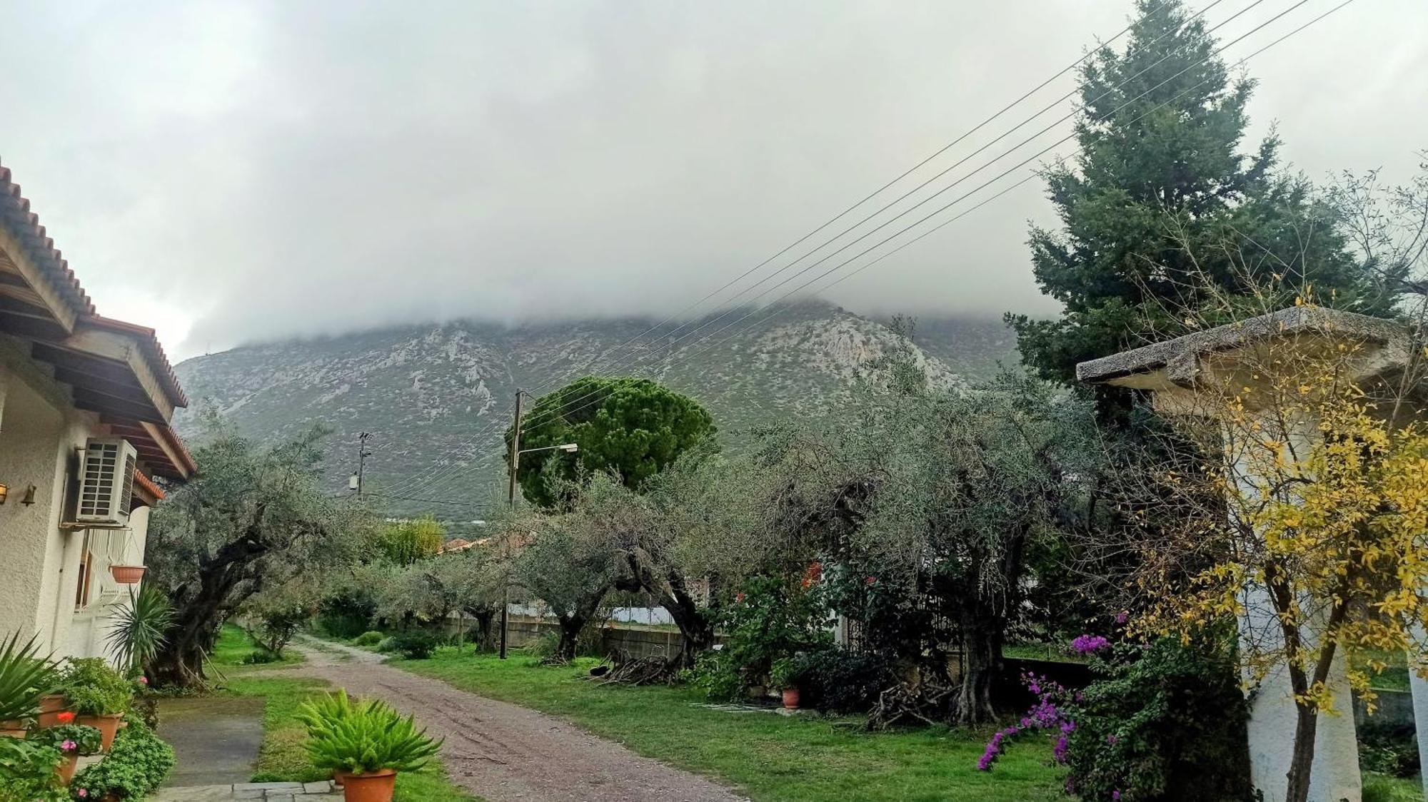 Nafpaktos Cottage By The Sea For Travelers And Dreamers! Екстериор снимка