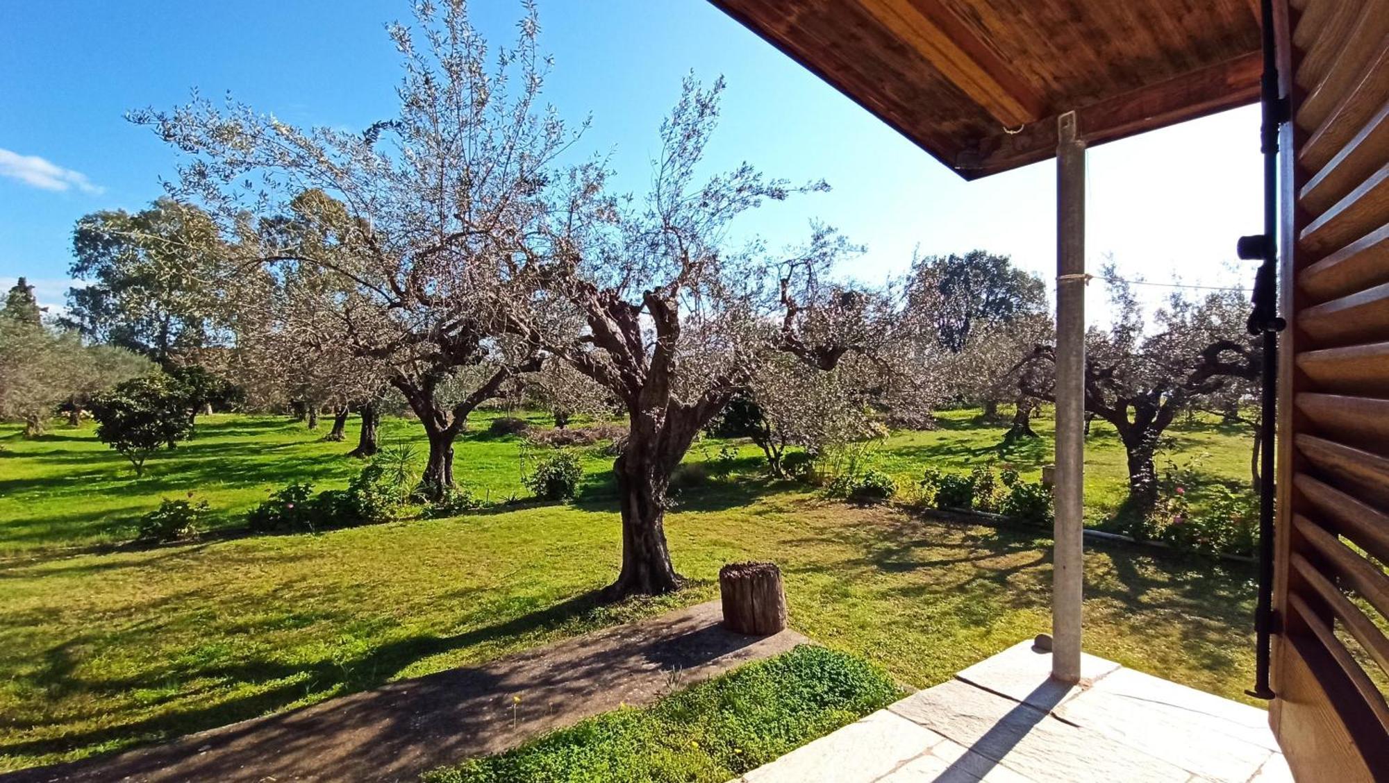 Nafpaktos Cottage By The Sea For Travelers And Dreamers! Екстериор снимка