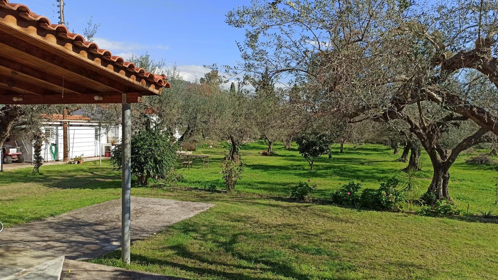 Nafpaktos Cottage By The Sea For Travelers And Dreamers! Екстериор снимка