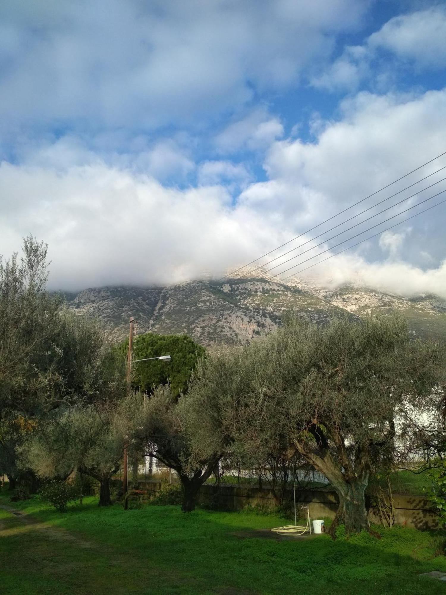 Nafpaktos Cottage By The Sea For Travelers And Dreamers! Екстериор снимка